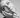 Happy Ring White Gold